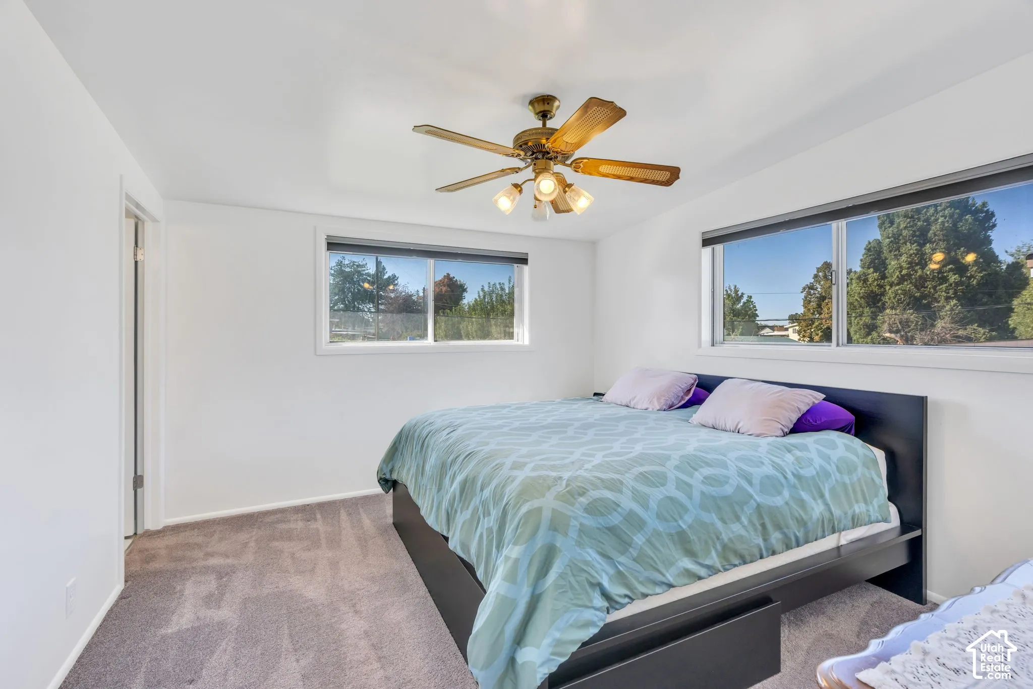 Neutral tone wall finishes, ceiling fan with integrated lighting, two windows with roller blinds, and gray carpeting