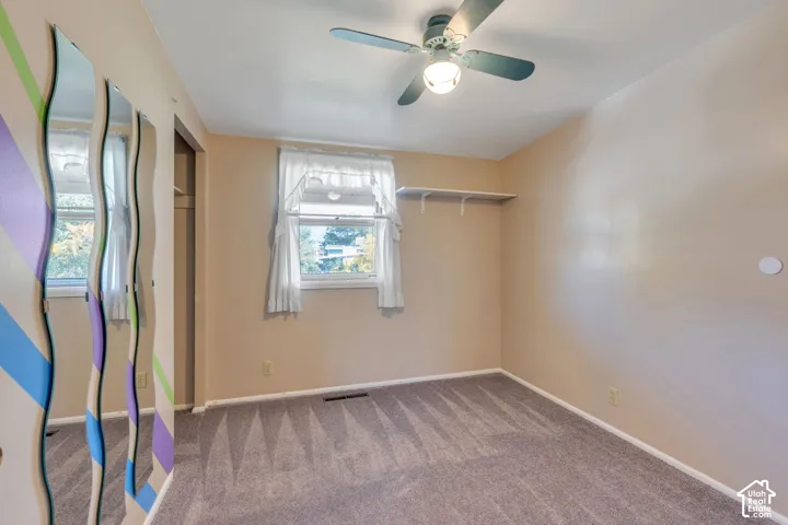 Carpeted room with a ceiling fan, dual windows, and an open closet with shelving