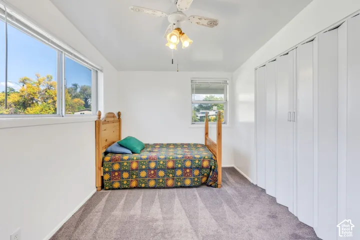 White walls, dual windows, ceiling fan with light fixture, and grey carpet