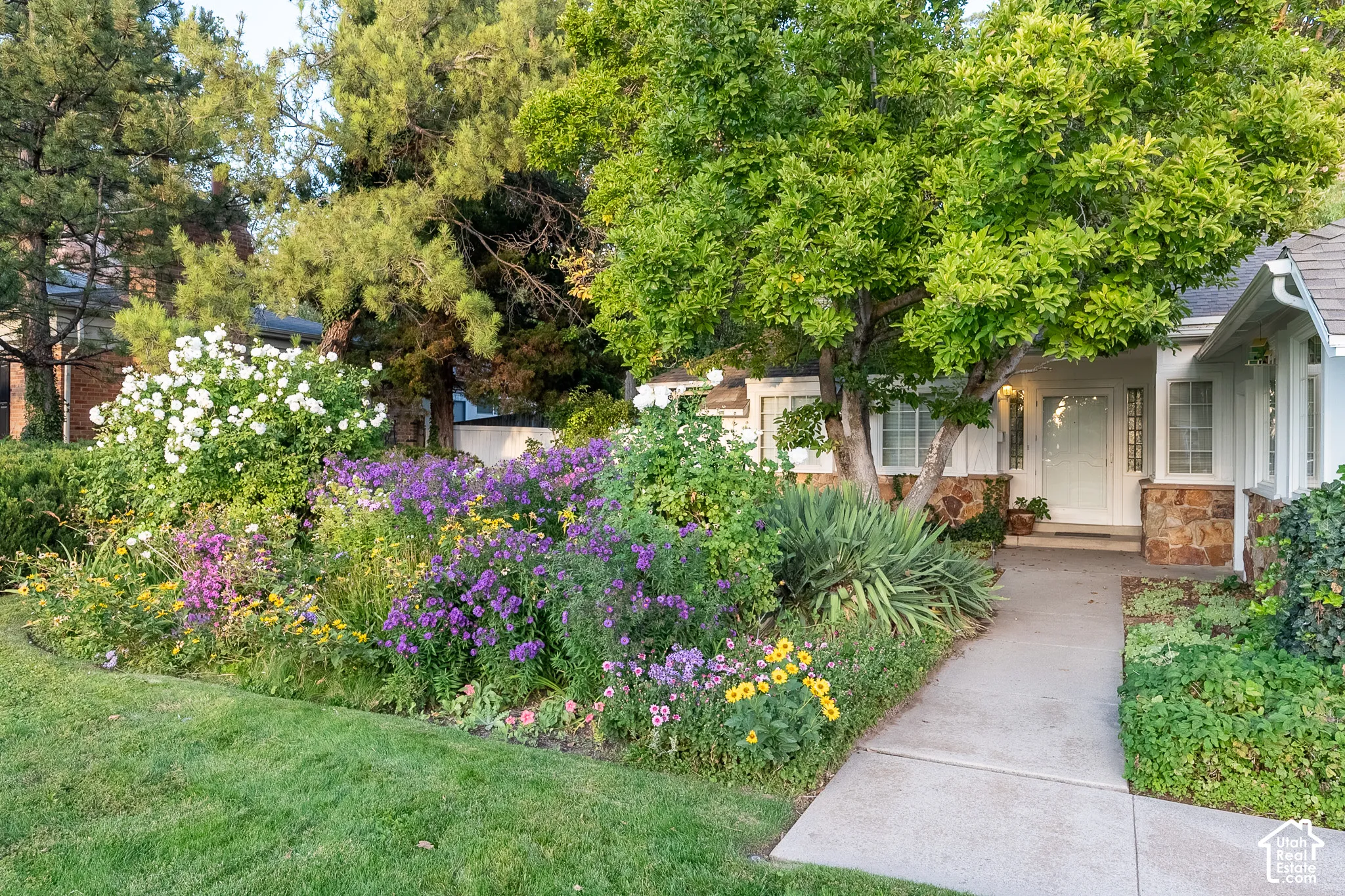 Lush front landscaping with colorful perennial plantings
