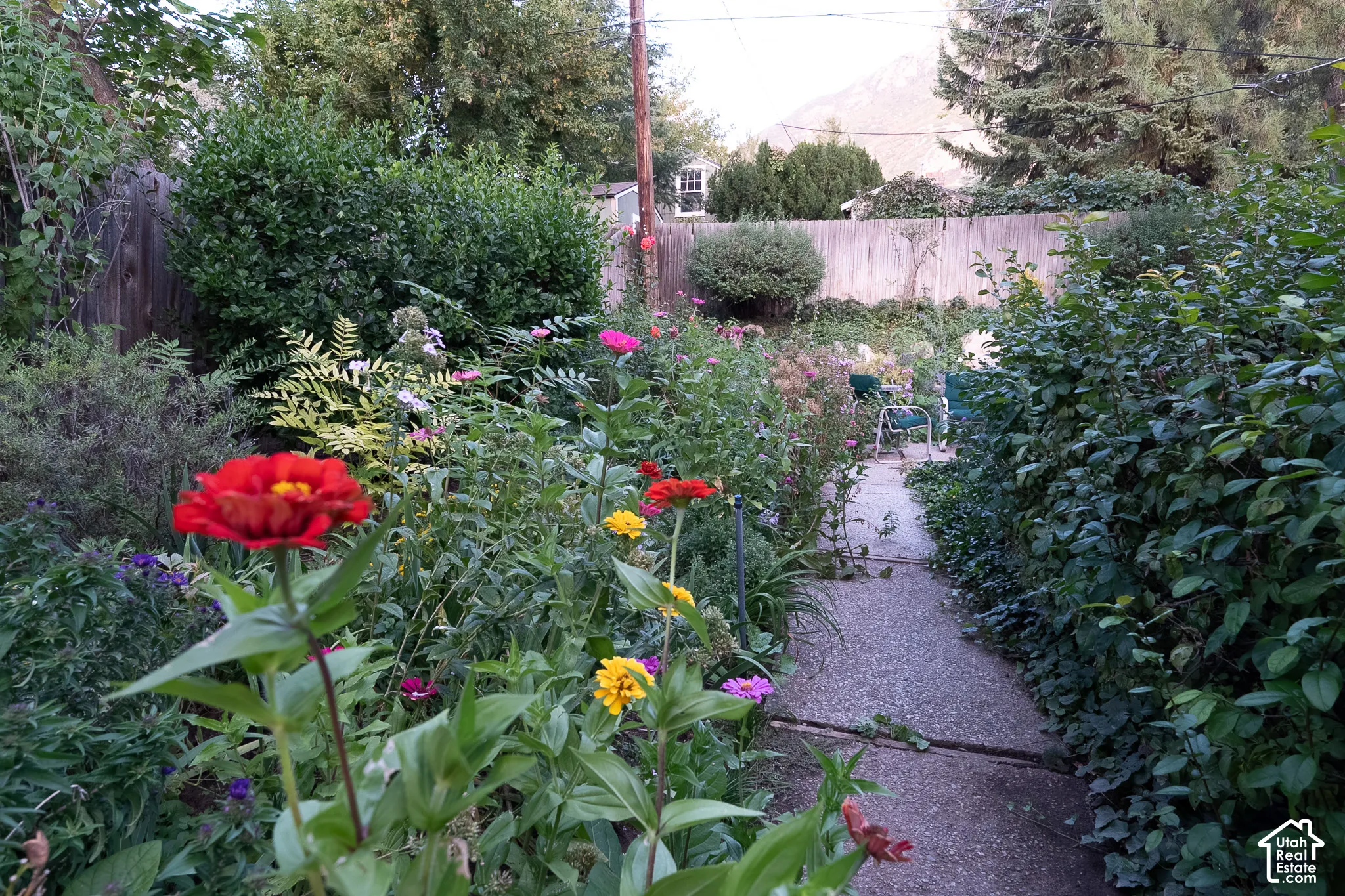 Garden path featuring varied plantings and a privacy fence