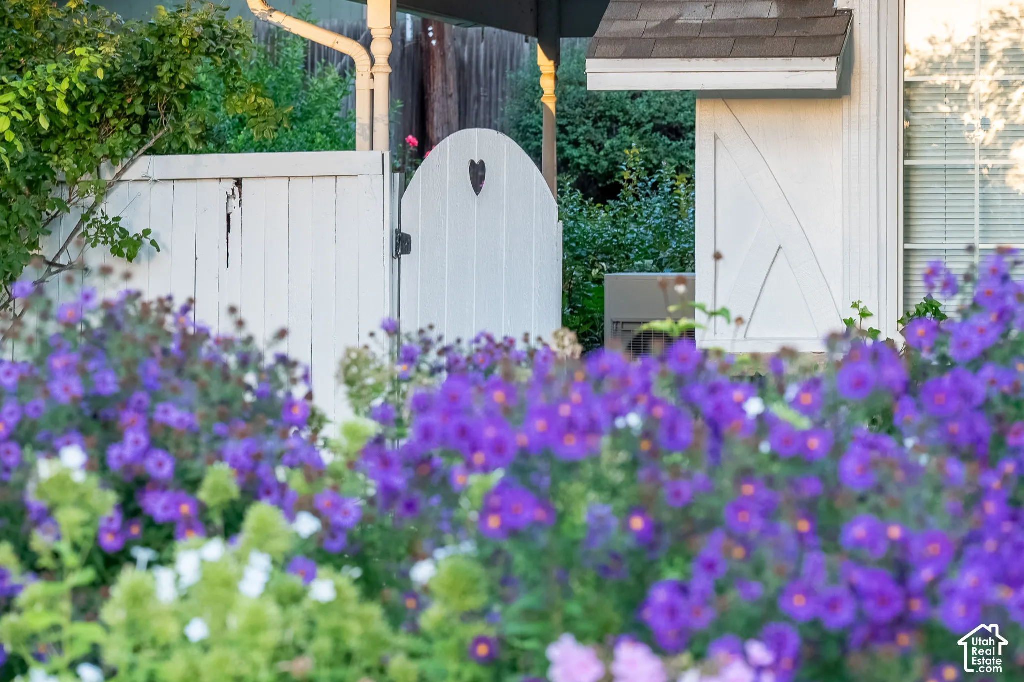 Gardens melt into Wood panel fencing with a gate