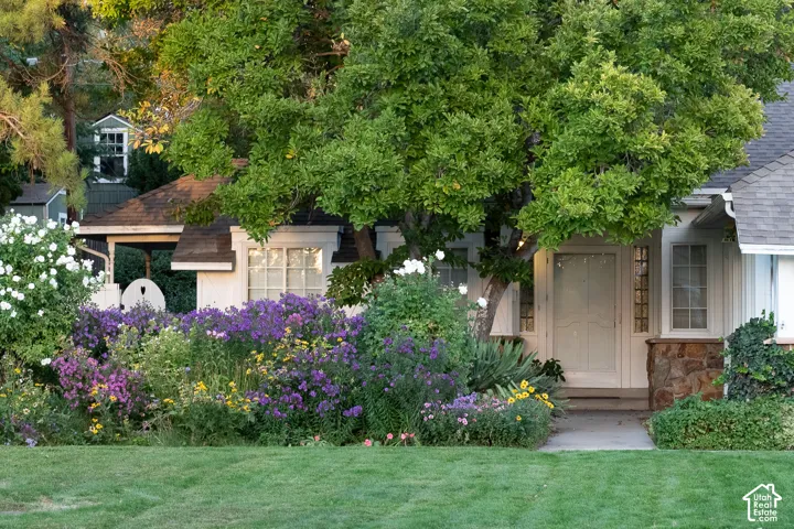 Manicured lawn with a pathway leading to the entry