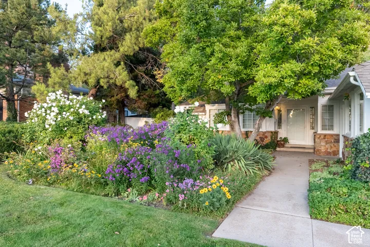 Lush front landscaping with colorful perennial plantings