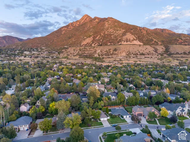 Neighborhood with mature trees and mountain backdrop