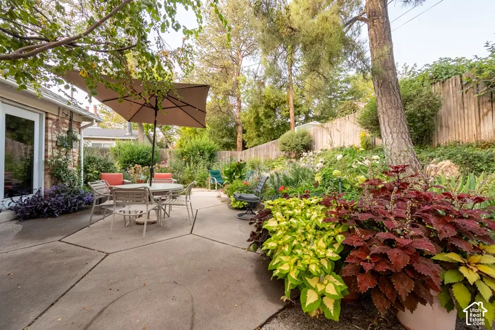 Expansive patio with geometric concrete paving, surrounded by lush landscaping and mature trees