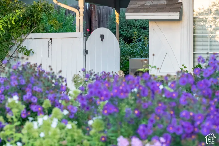 Gardens melt into Wood panel fencing with a gate