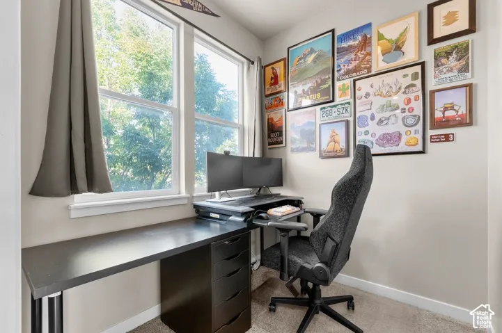 Dual-pane windows, light neutral wall color, and carpeted flooring