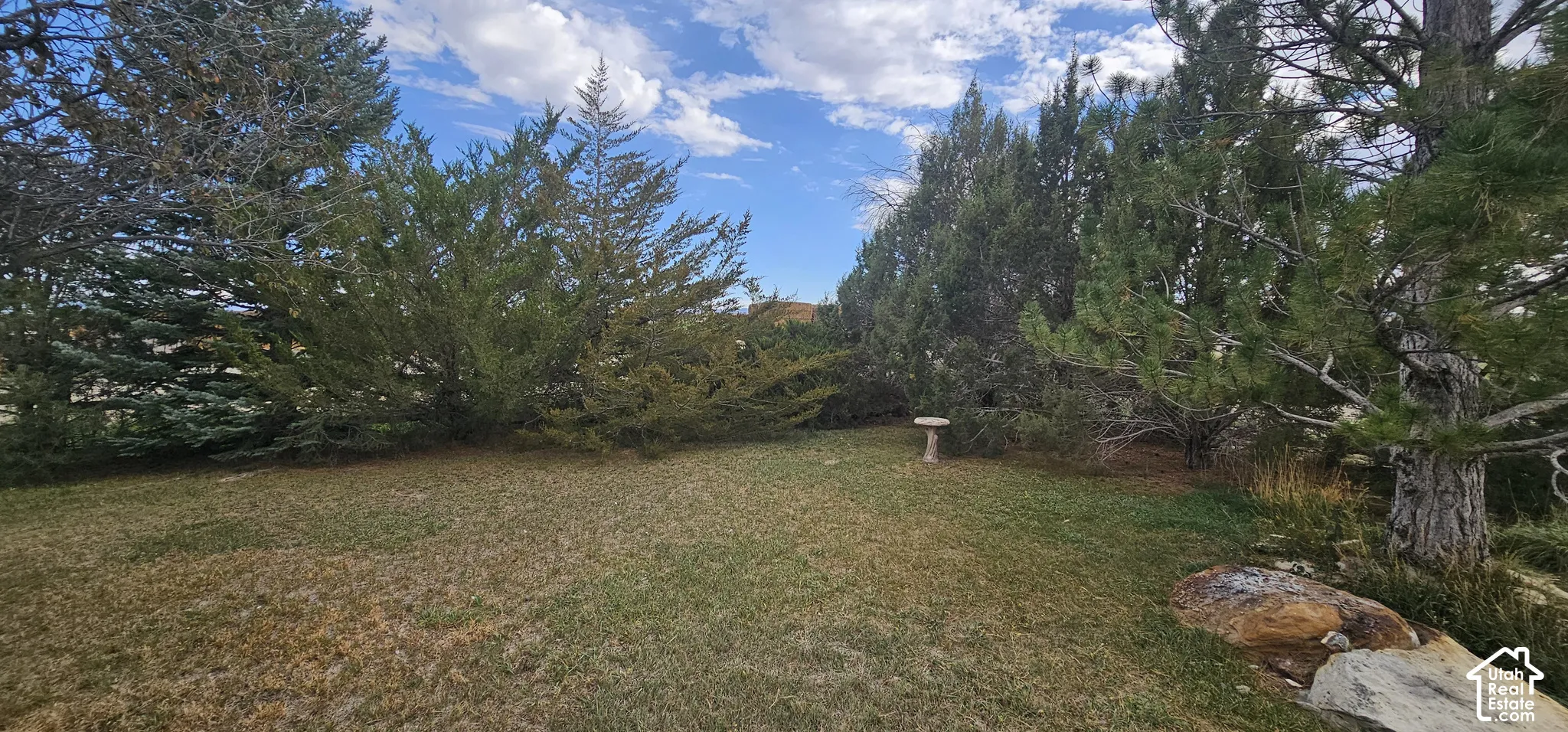 Lush evergreen trees and natural stone landscaping define the expansive outdoor area