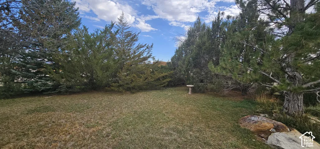 Lush evergreen trees and natural stone landscaping define the expansive outdoor area