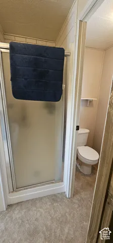 Shower enclosure with frosted glass, ceramic subway tile surround, and a white toilet