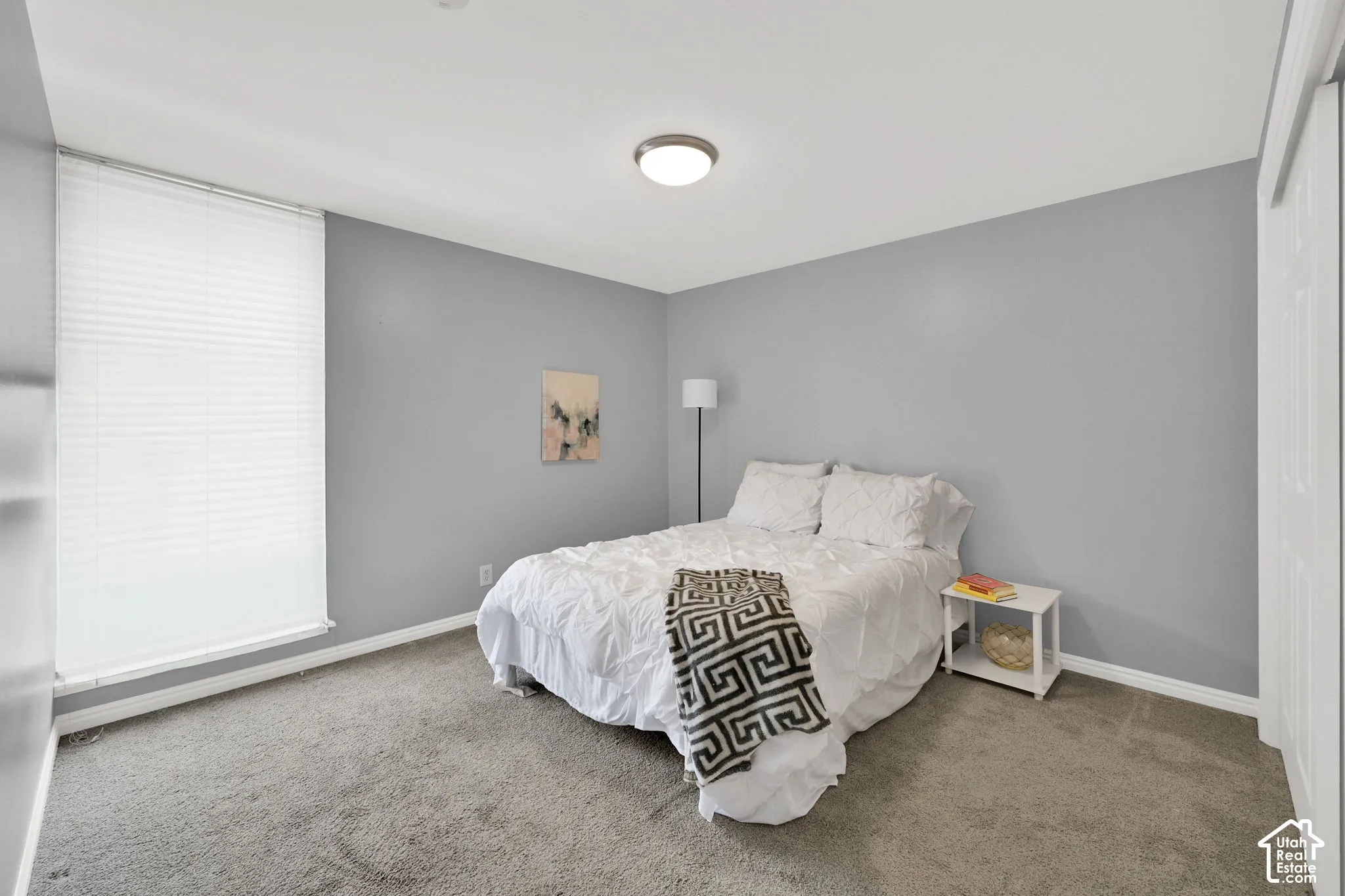 Plush carpet flooring, neutral gray wall tones, and overhead flush-mount lighting
