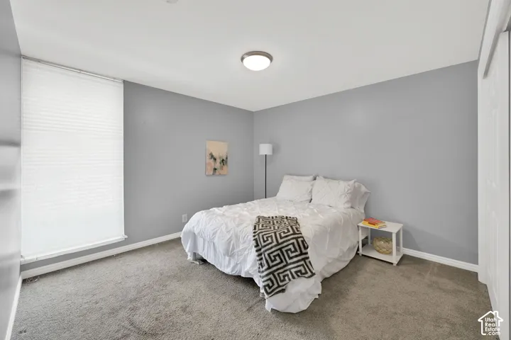 Plush carpet flooring, neutral gray wall tones, and overhead flush-mount lighting