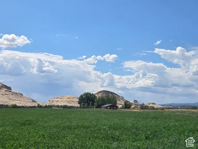 Picture is from Subdivision and area, but not the lot specifically.