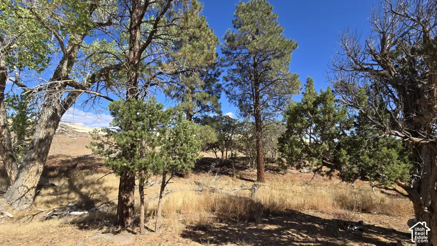 Picture is from Subdivision and area, but not the lot specifically.