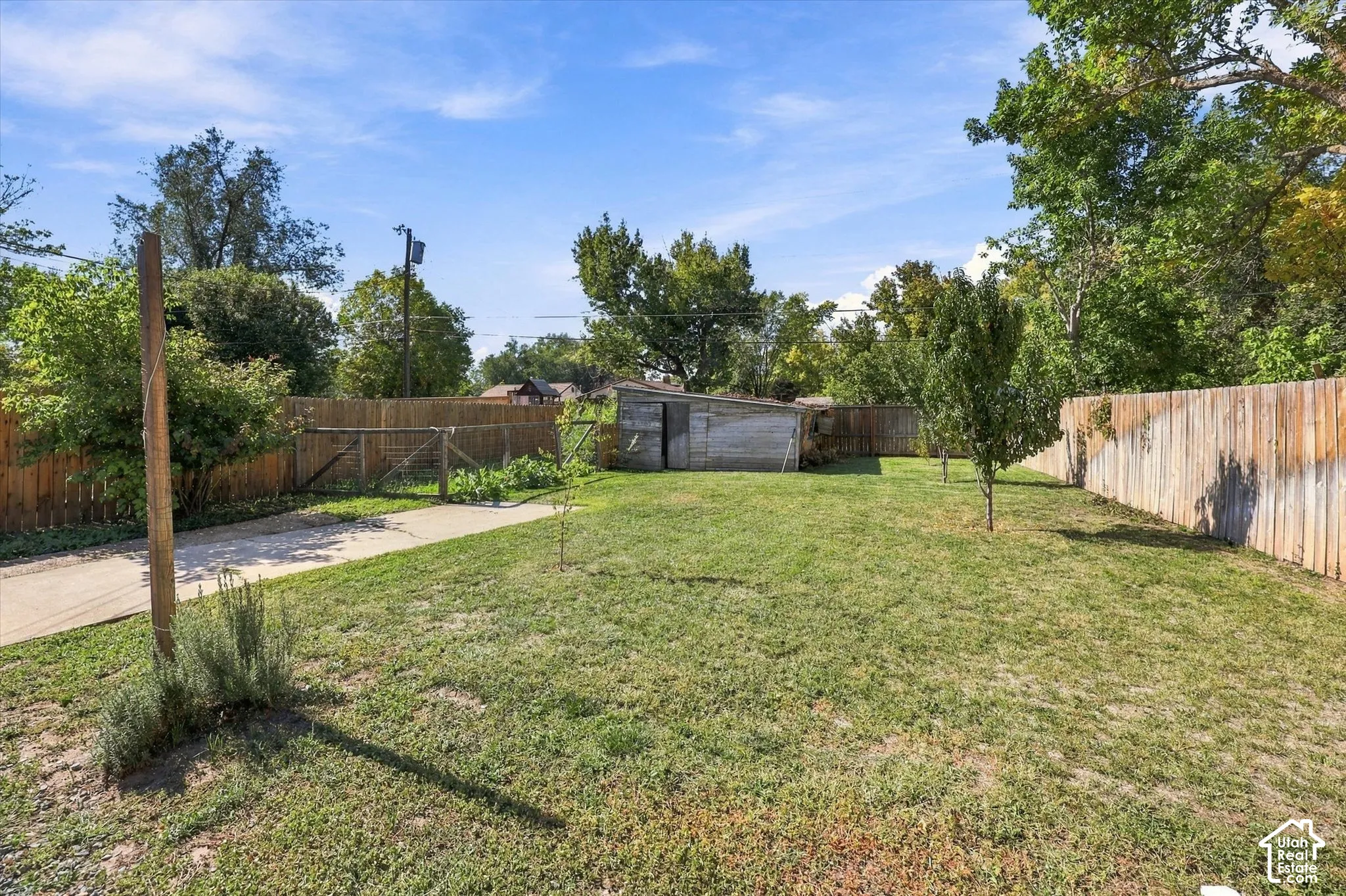 Spacious backyard featuring a wood fence, established trees, a concrete pathway, and a storage shed