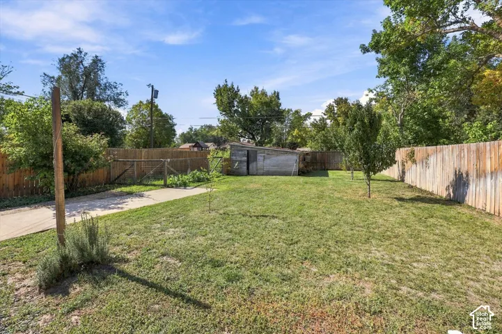 Spacious backyard featuring a wood fence, established trees, a concrete pathway, and a storage shed