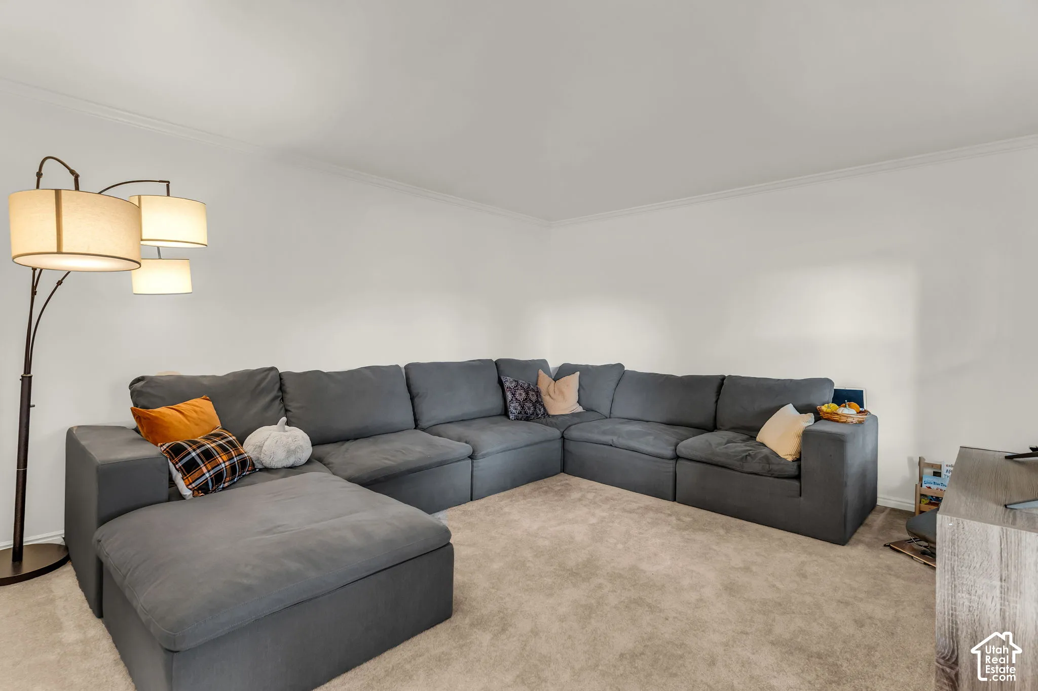 Plush carpet flooring, neutral wall tones, and crown molding