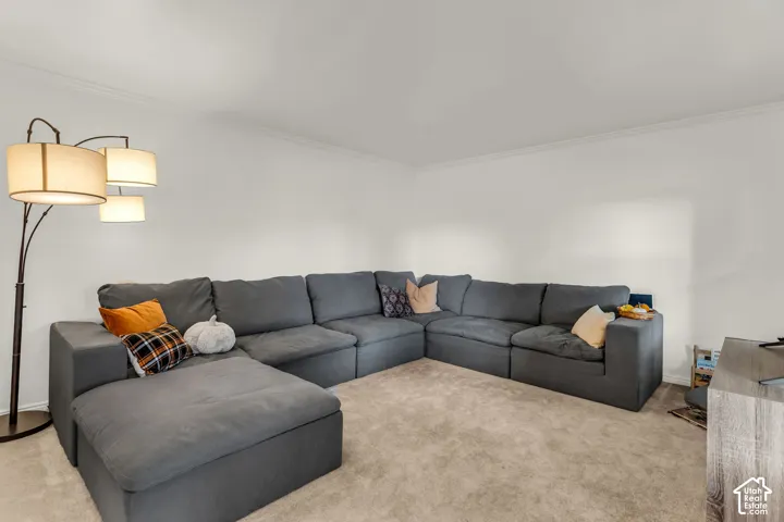 Plush carpet flooring, neutral wall tones, and crown molding