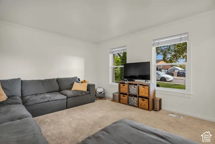 Neutral paint palette, crown molding, and two windows with blinds