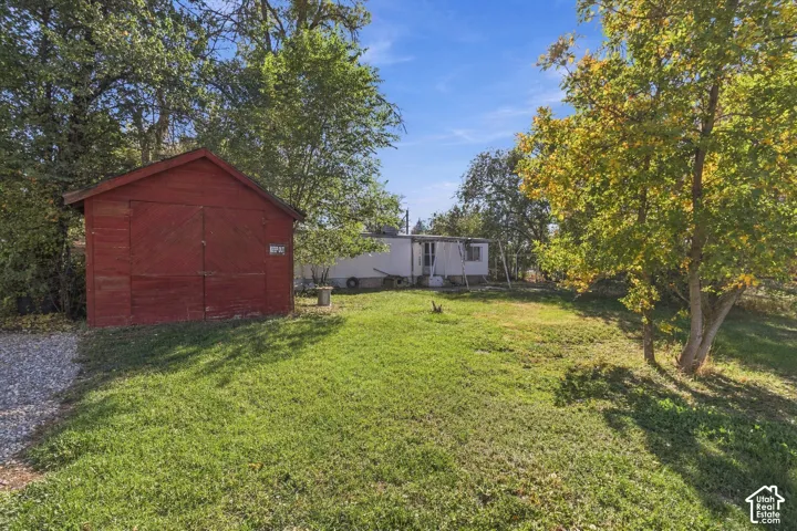 Expansive grassy area with mature trees and a detached red storage shed