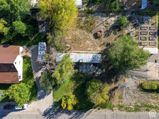 Expansive lot featuring a gravel driveway, mature trees, and multiple raised garden beds