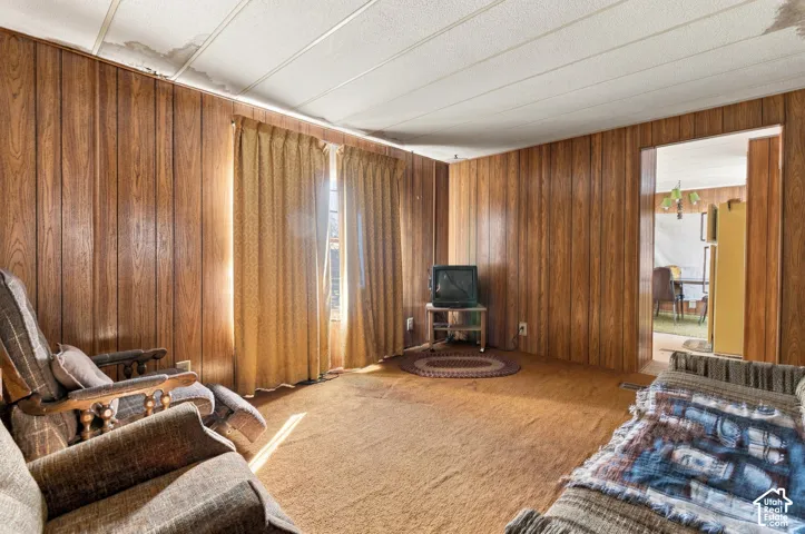 Wood-panel accent walls and wall-to-wall carpeting