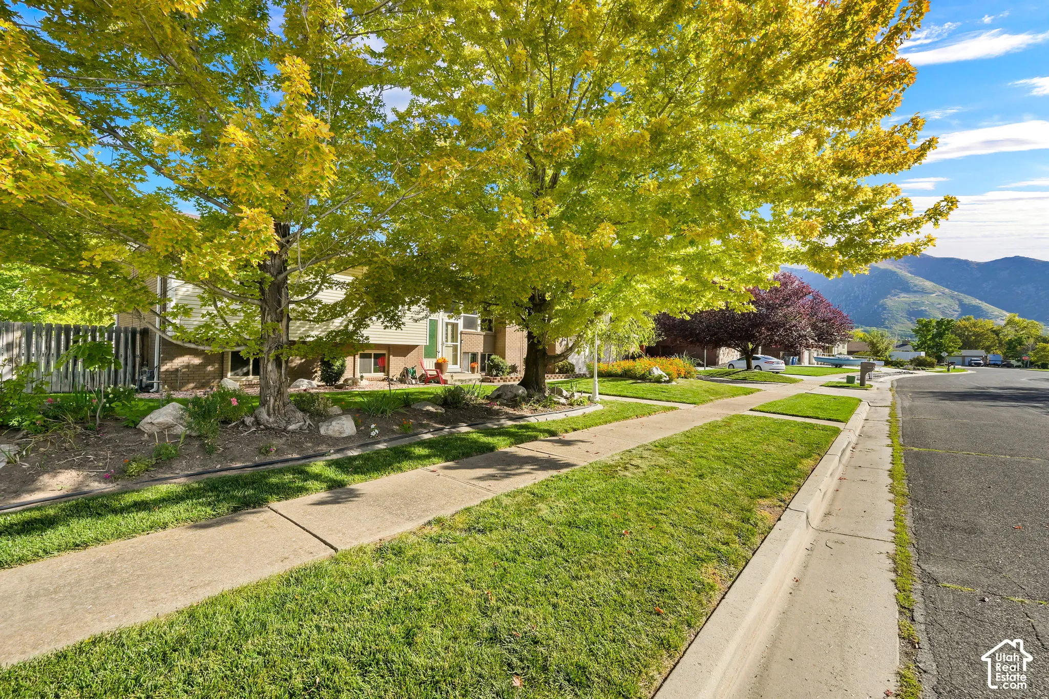 Mountain backdrop, mature trees, concrete sidewalk, curb, and asphalt street