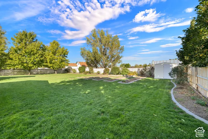 Expansive backyard with a manicured lawn, established trees, raised garden beds, and a storage shed