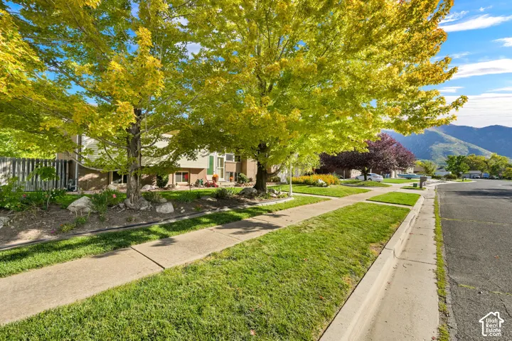Mountain backdrop, mature trees, concrete sidewalk, curb, and asphalt street