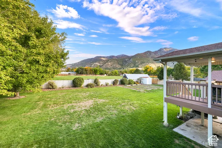 Expansive backyard featuring a manicured lawn, mature tree, raised garden beds, and a white storage shed