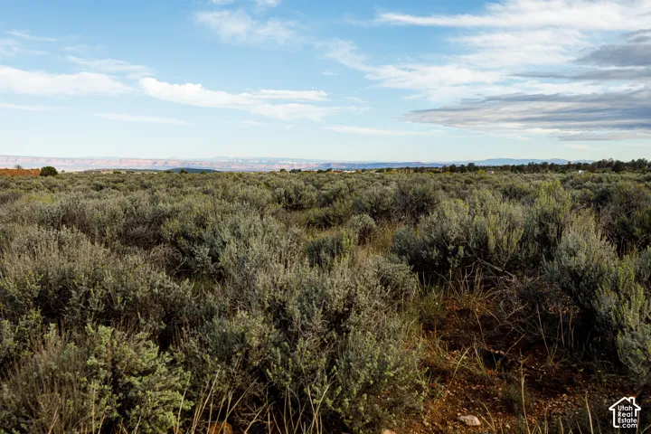 Expansive arid landscape featuring natural vegetation and distant mountains