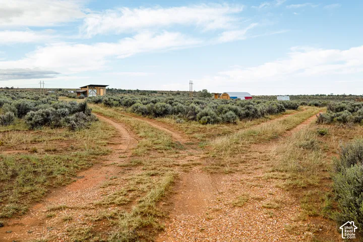 Unpaved pathways traversing undeveloped land featuring distant structures and scattered vegetation