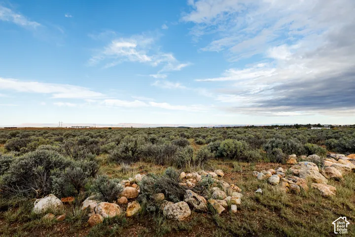 Expansive natural landscape featuring low-lying vegetation and scattered rock formations