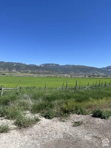 Expansive green field with natural fencing and distant mountains under a clear sky