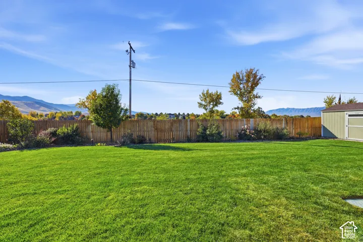Expansive lawn with a full privacy fence, mature trees, and a utility shed