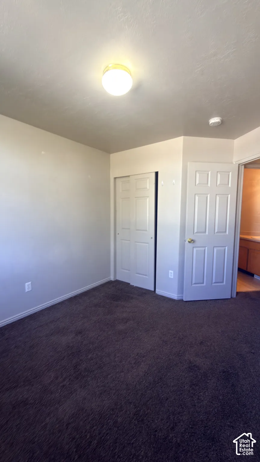Plush carpeting, ceiling-mounted light fixture, sliding closet doors, and a six-panel door