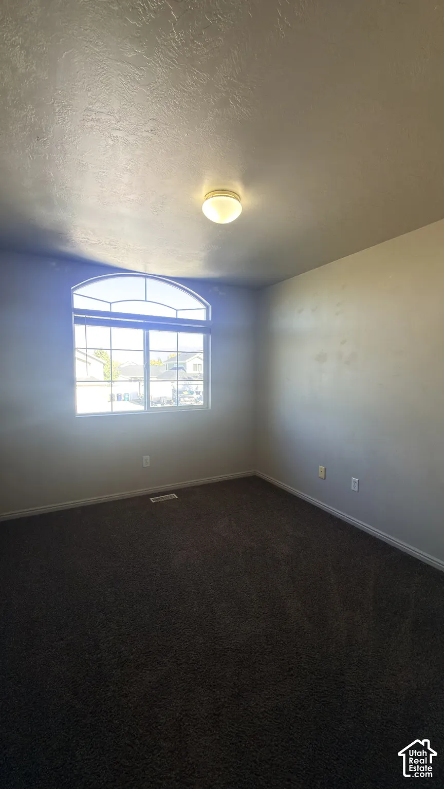 Arched window with gridded design, dark carpeting, and a flush-mount ceiling light fixture
