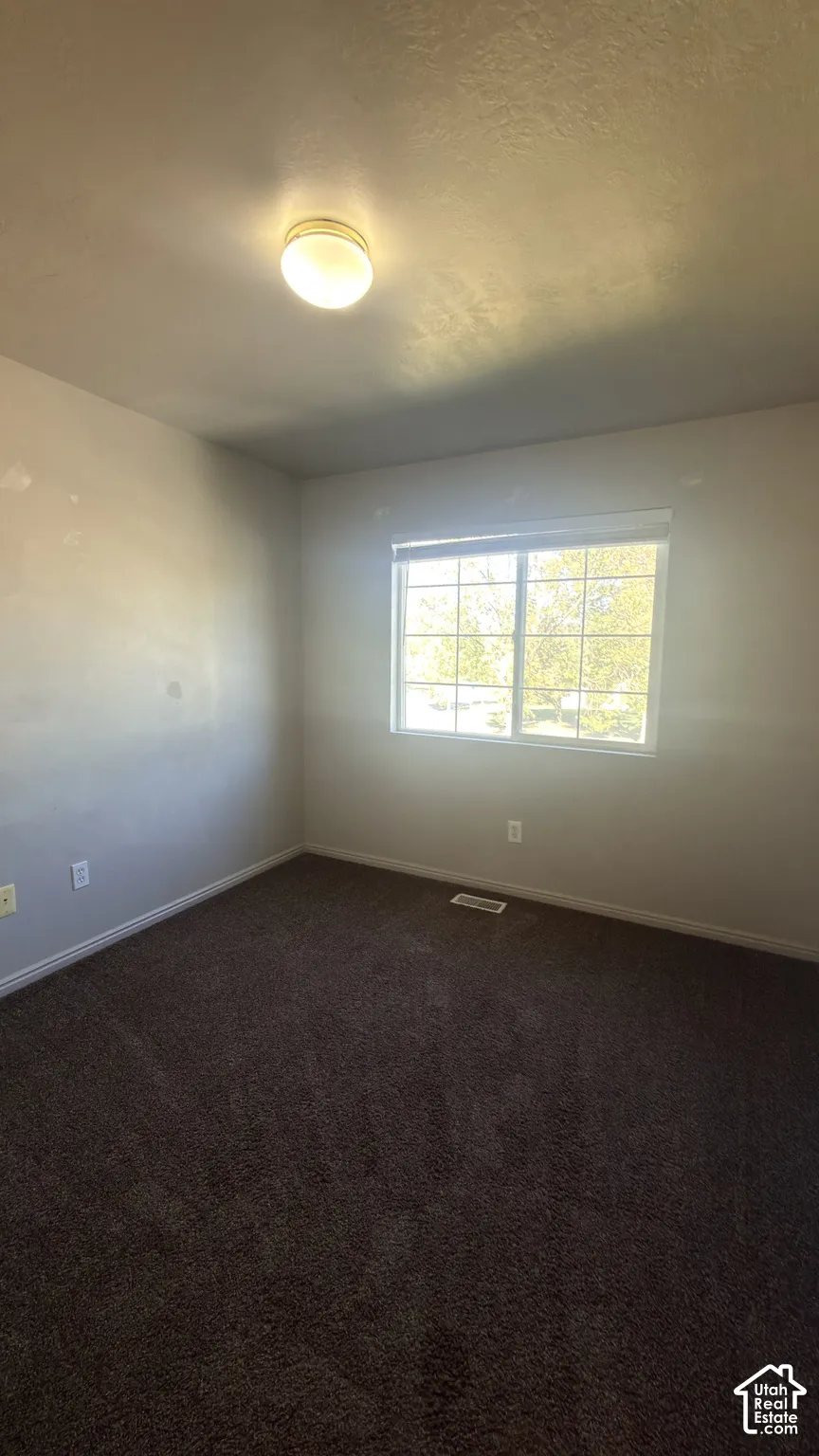 Recessed window, ceiling-mounted light fixture, and plush carpeting