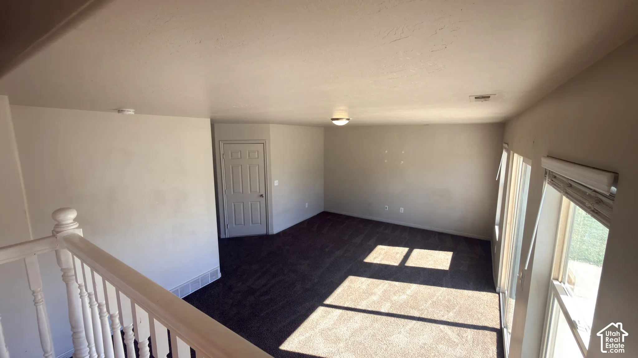Carpeted upper-level space featuring multiple windows, a paneled door, and a white wood-finish railing