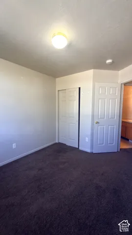 Plush carpeting, ceiling-mounted light fixture, sliding closet doors, and a six-panel door