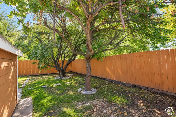 Private backyard featuring a wooden privacy fence, established mature trees, concrete stepping stones, and natural landscaping
