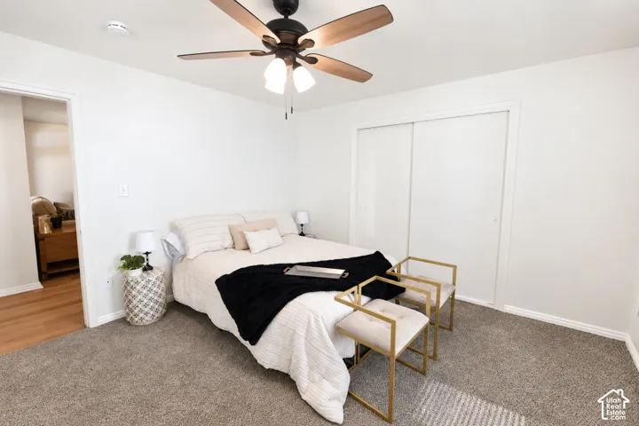 Neutral carpeting, dual-sliding closet doors, and a ceiling fan with integrated lighting