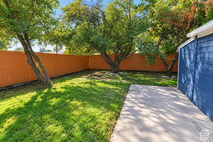 Backyard featuring a concrete patio, wood-style privacy fencing, and mature trees