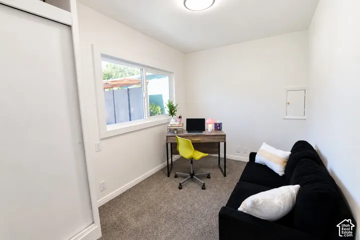 Neutral-toned interior featuring wall-to-wall carpeting, a sliding-door closet, a white-framed window, and a ceiling-mounted light fixture