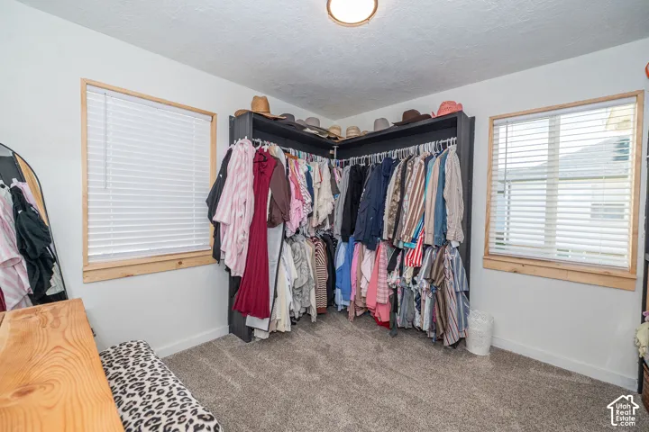 Carpeted flooring with dual windows, custom built-in closet storage, and a flush mount ceiling light