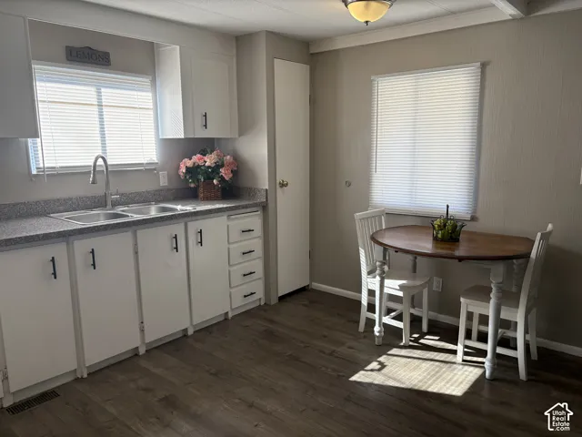 Kitchen featuring white cabinetry with dark hardware, a double basin stainless steel sink with a gooseneck faucet, and wood-finish flooring