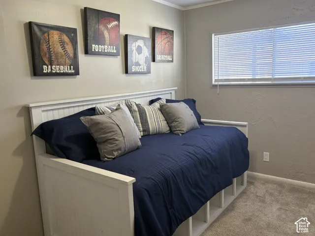 Carpeted flooring, neutral wall color, white trim, and a window with blinds