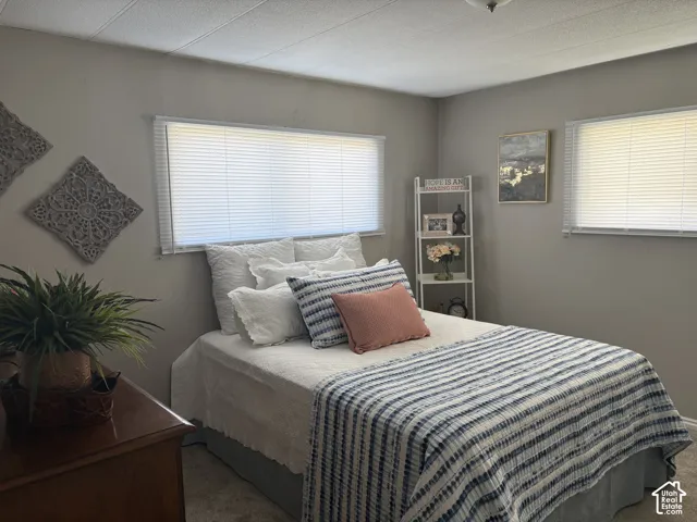 Carpeted flooring with painted walls
