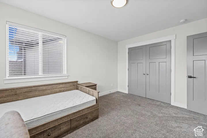 Grey carpeted flooring, window with blinds, panel bi-fold doors, flush mount ceiling light, and light grey walls